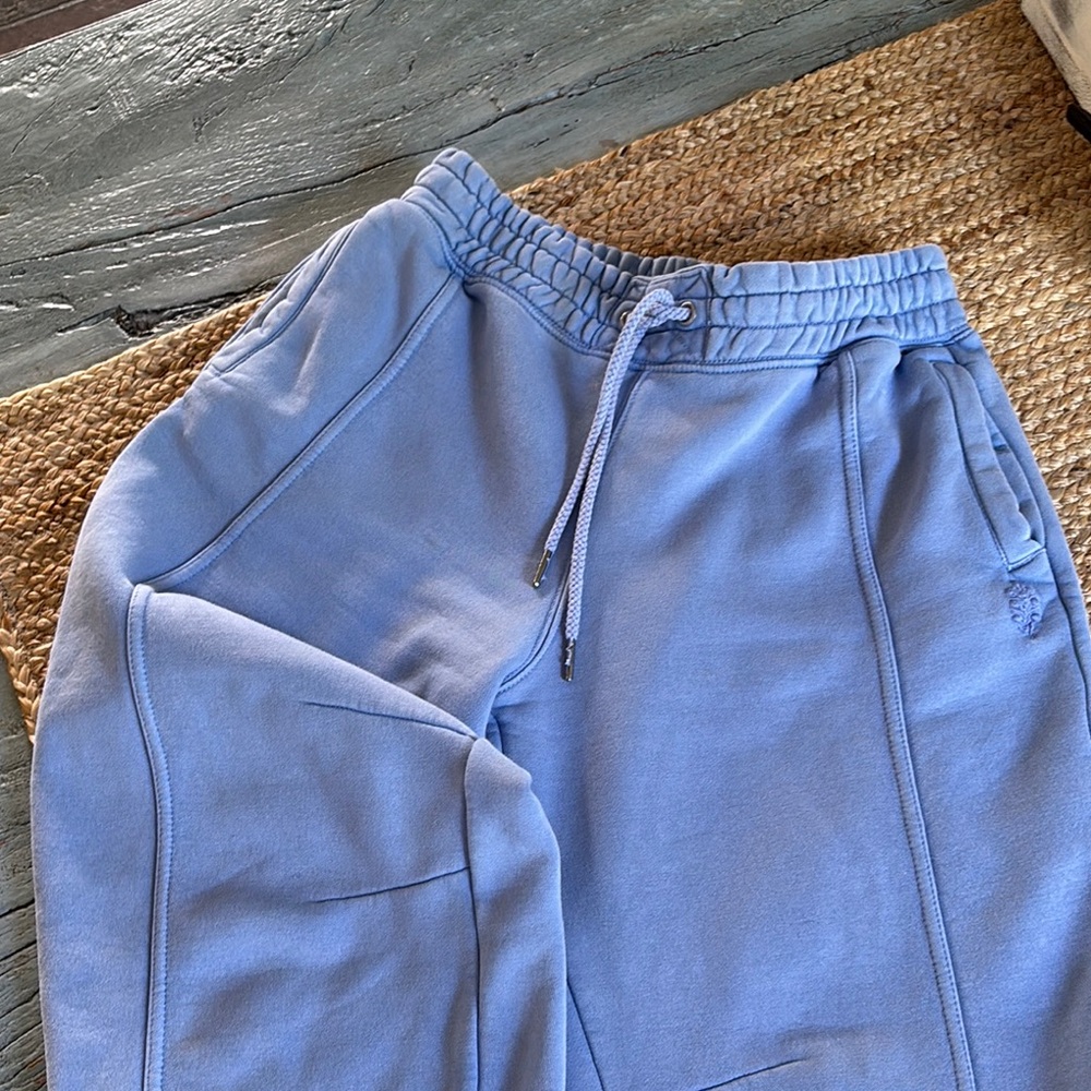 Sprit To The Finish Free People joggers